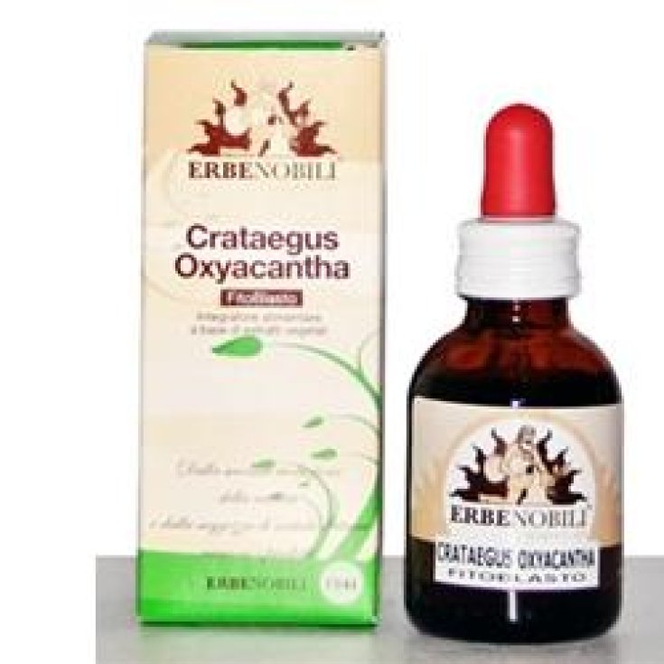 Phytoblast Crataegus Oxyac Hydroalkoholische Lösung 50ml