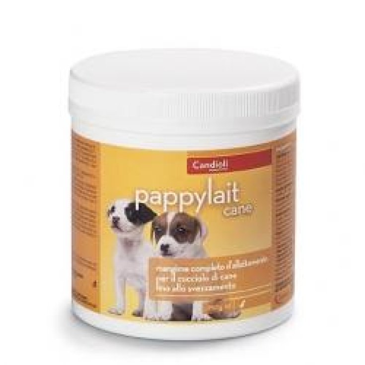 Pappylait Hund 250g