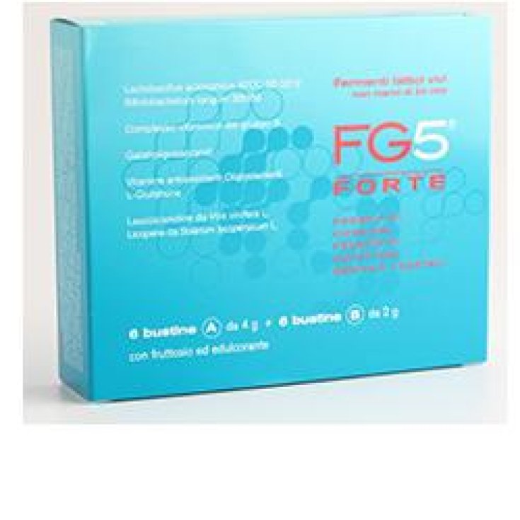 Fg5 Forte 6Büste