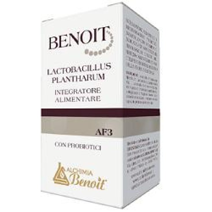 Benoit Lactobacillus Plantharu Nahrungsergänzungsmittel 30 Kapseln