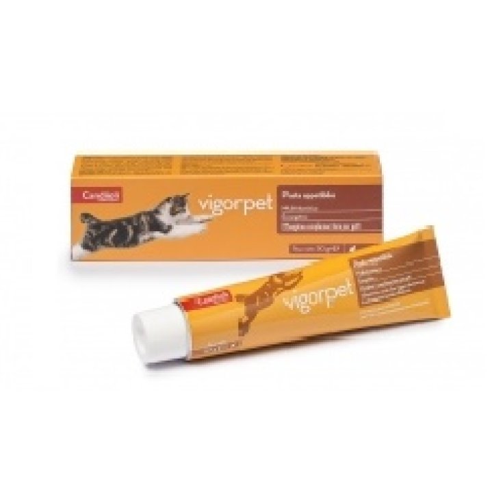 Vigorpet Gatti-Nudeln 50g