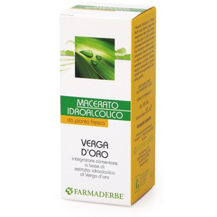 VERGA D'ORO MACERATO IDROALCOL