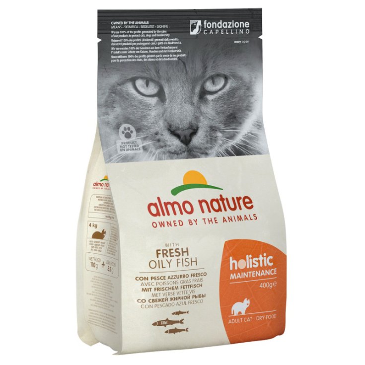 HOLISTIC CAT HUHN/REIS 400G