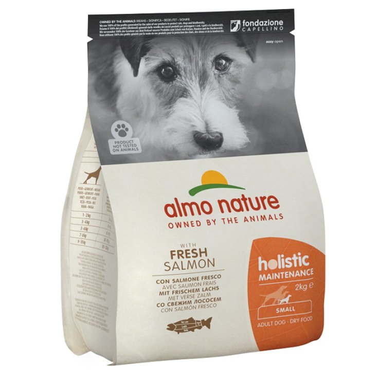 HOLISTIC DOG S LACHS/REIS2KG