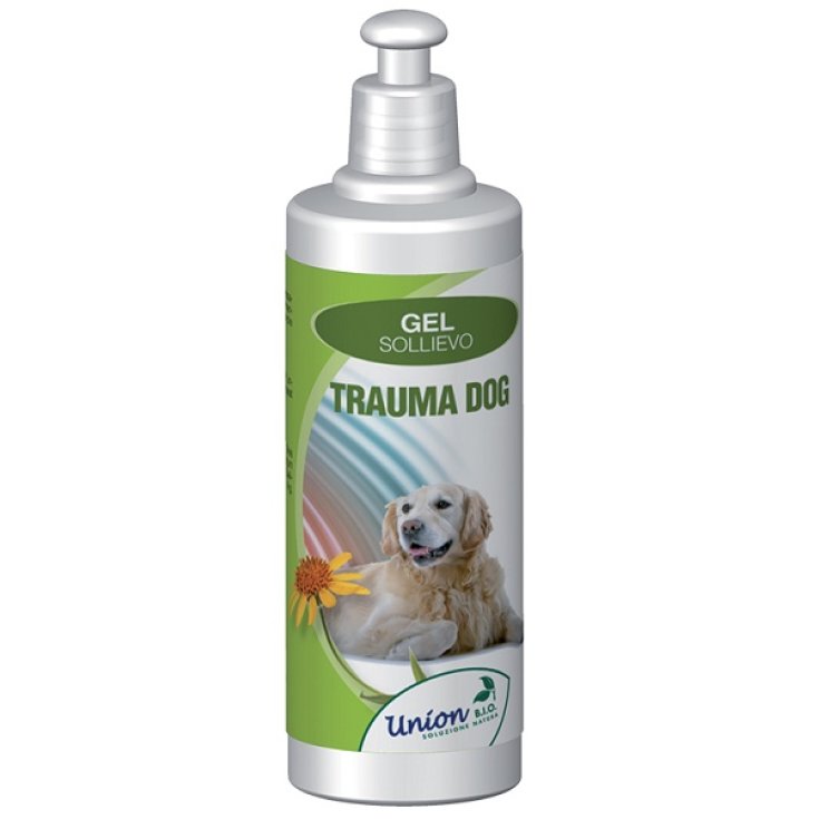 Trauma Hundegel Solli Imm 250ml