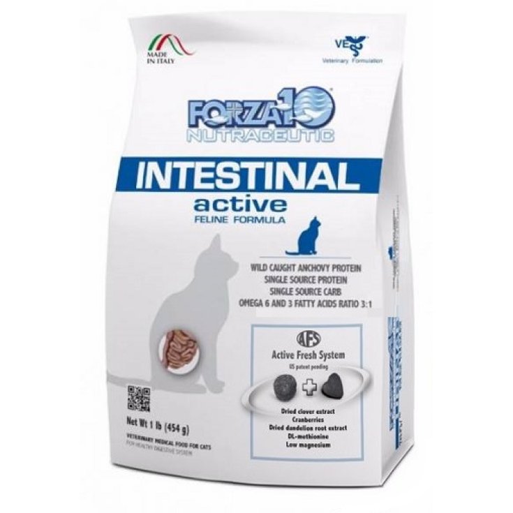 Forza 10 Nutrazetic Intestinal Active Feline Formula 454g