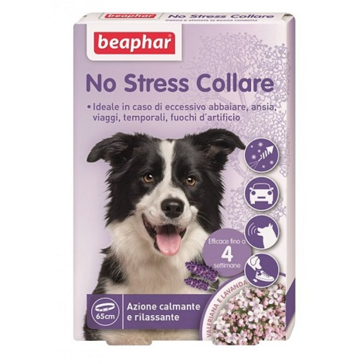 Kein Stress-Hundehalsband