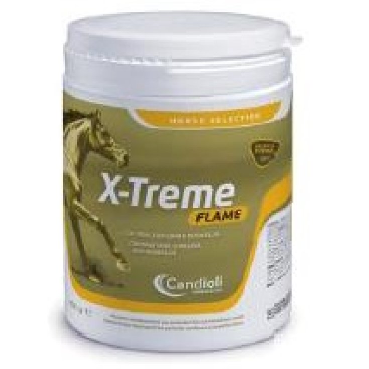 X-TREME FLAME 450G