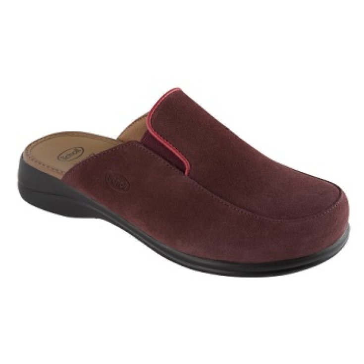 NEUES MOUE SYNTHETIC LILA FRAU N35 Dr. Scholl's®
