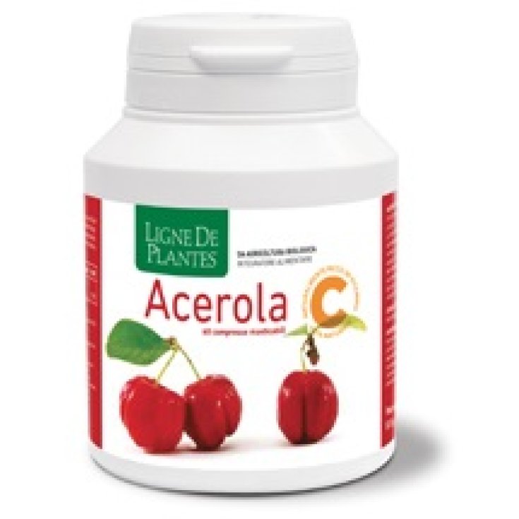 Acerola Bio Kautablette 60cps