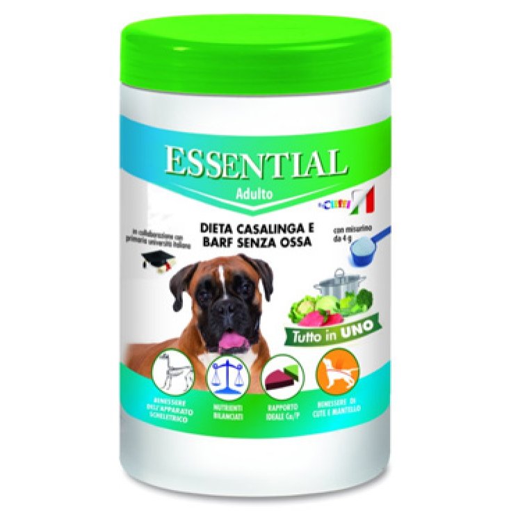 Chemi-VIT Essential Erwachsener Hund 650g
