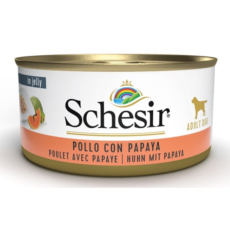 SCHESIR PAPAYA-HÄHNCHENFILETS