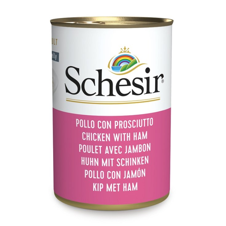 SCHESIR CAT CHICKEN FIL PR 140G