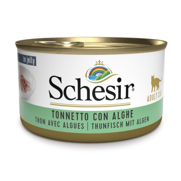 Schesir Thunfisch Algen Tierfutter 85g