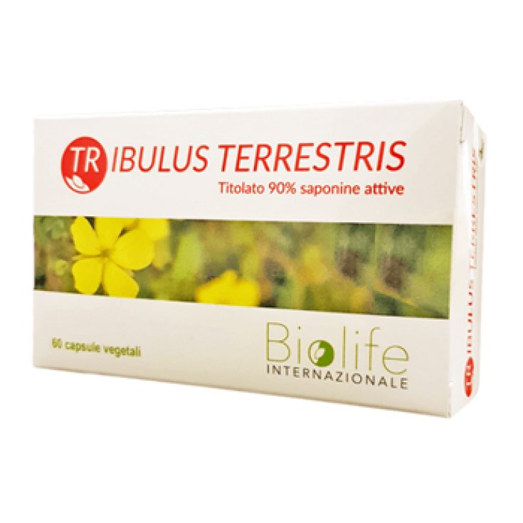 Tribulus Terrestris Nahrungsergänzungsmittel 60 Tabletten