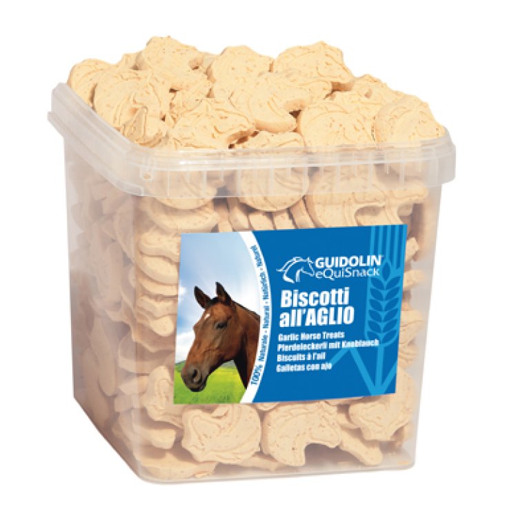 EQUISNACK BISCOTTI AGLIO 2KG