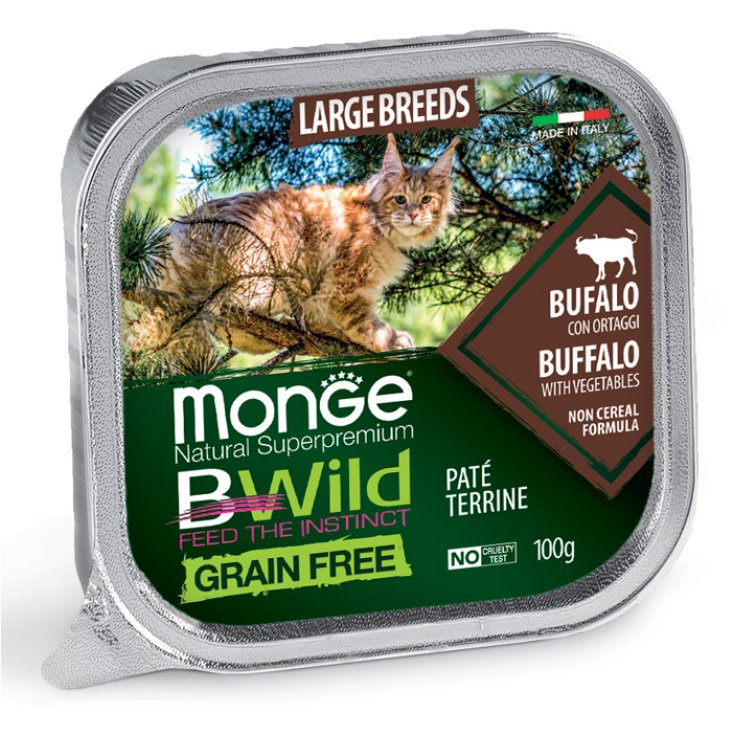 MONGE BWILD CAT LB BUFFALO/ORT