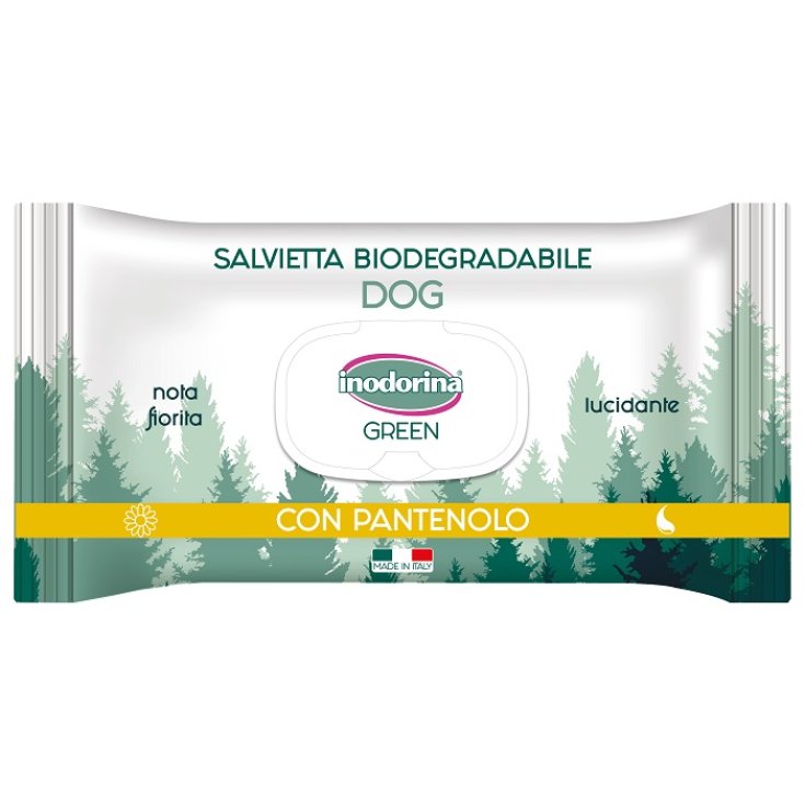 INODORINA GREEN LUCID 30SALV