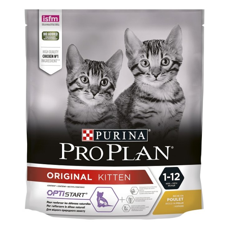 PP DC ORIGINAL KITTEN POLL400G