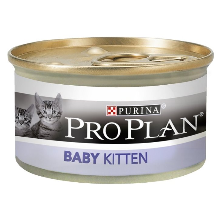 PP WC KITTEN BABY MOUSSE HUHN