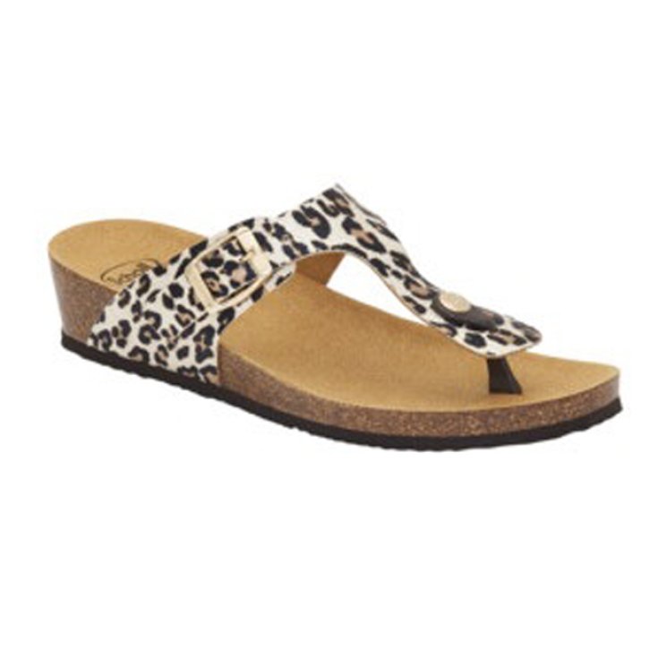 GANDIA ANIMALIER PR SY W M39