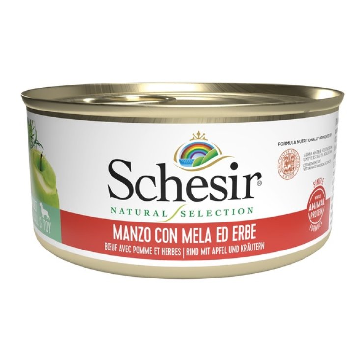 SCHESIR HUND NS RINDFLEISCH 95G