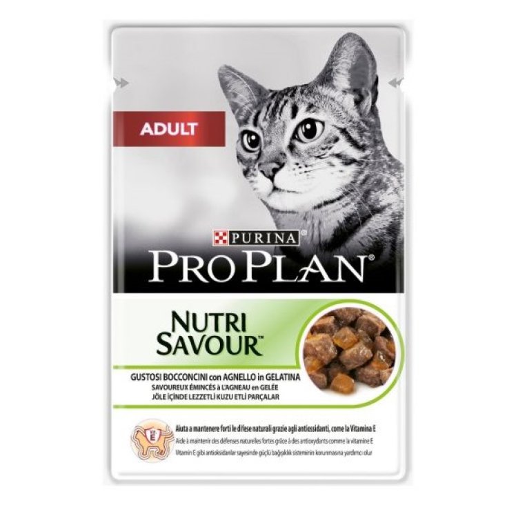 PROPLAN NUTRISAV CATS BEI AGN