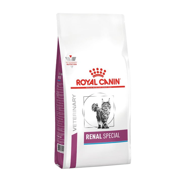 VHN CAT RENAL SPECIAL 400G