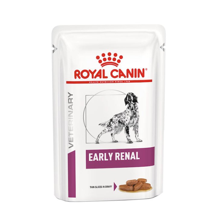 VHN WET DOG EARLY RENAL12X100G