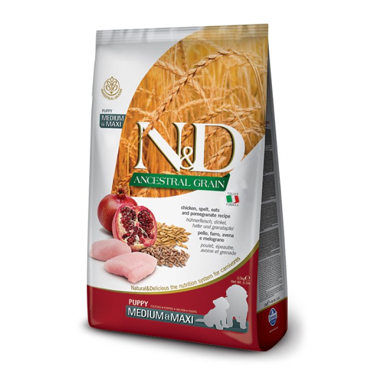 N&D DOG ANCEST CH&PO P MM 12KG