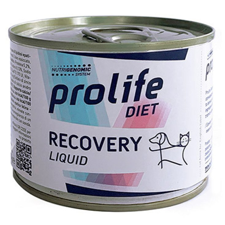 PROLIFE DOG/CAT DIET WET RECOV