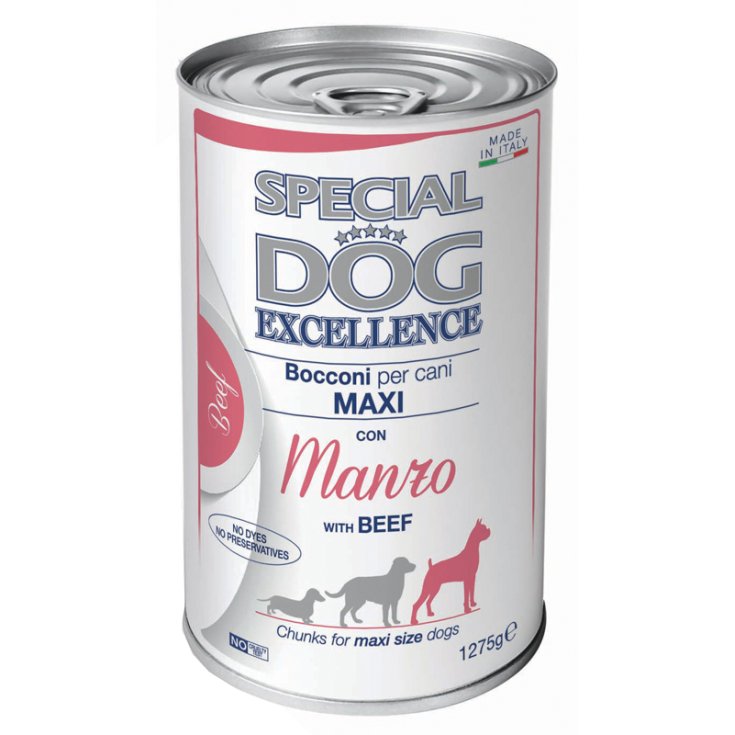 SPECIAL DOG ​​​​EXC MX AD BOCC MA