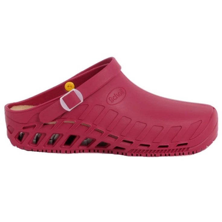 CLOG EVO TPR UNISEX WEIN 36/37