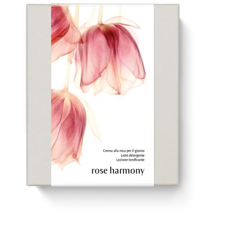 Dr. Hauschka Rose Harmony Kit: Latte, Lozione Tonificante e Crema Giorno