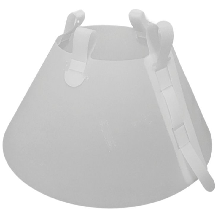 FOQUS CLASS COLLARE ELISAB10CM