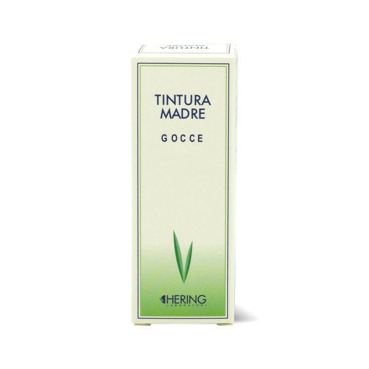 Ficus Carica Urtinktur Tropfen HERING 30ml