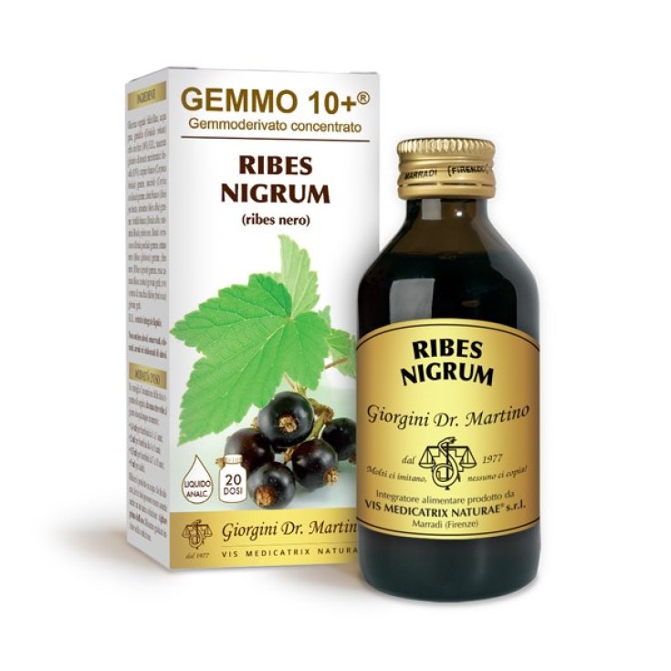 G10 + Alkoholfreie Flüssigkeit Schwarze Johannisbeere Dr. Giorgini 100ml