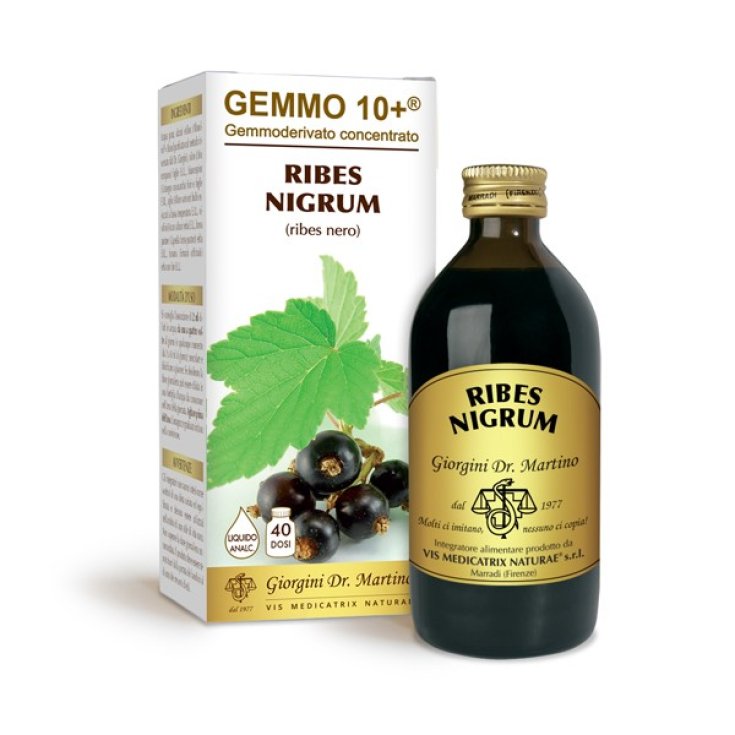 G10 + Alkoholfreie Flüssigkeit Schwarze Johannisbeere Dr. Giorgini 200ml