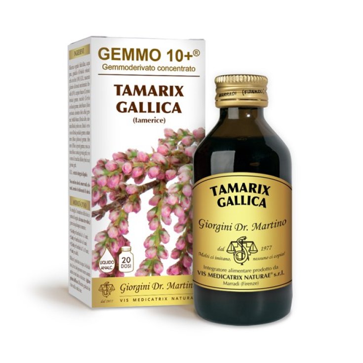 G10 + Alkoholfreie Flüssigkeit Tamerice Dr. Giorgini 100ml