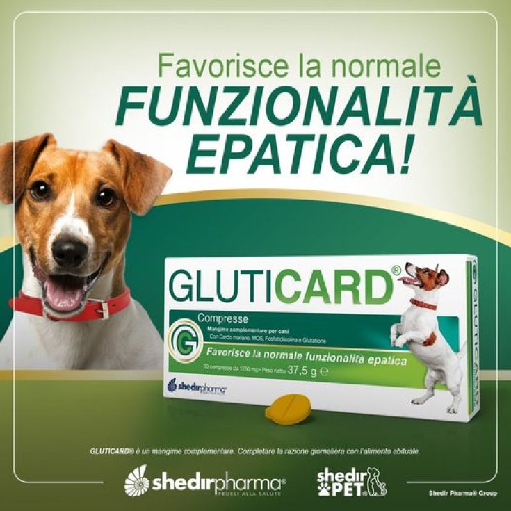 Gluticard® ShedirPharma® 30 Tabletten