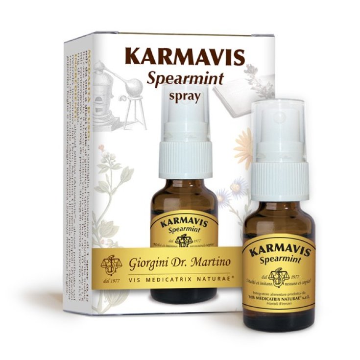 Karmavis Grüne Minze Dr. Giorgini 15ml