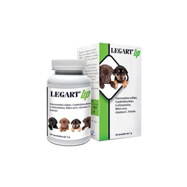 LEGART® Up DDFarma 60 Tabletten