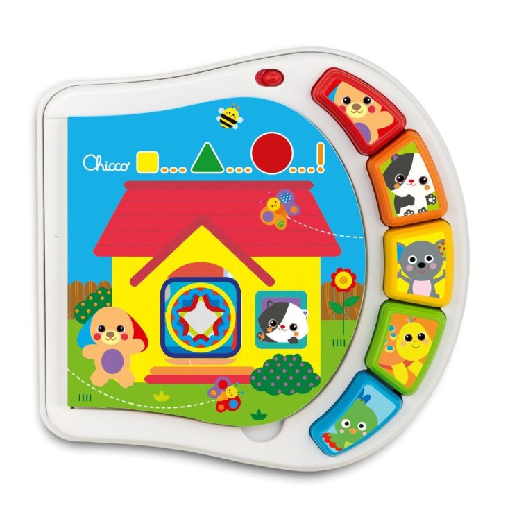 Buch Tiere des Hauses Baby Senses CHICCO 6-36 Monate