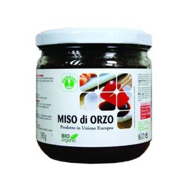 MISO GERSTE Unpasteurisiert