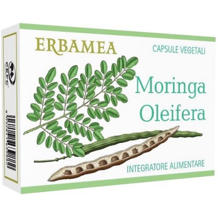 Moringa Oleifera Erbamea 24 Kapseln