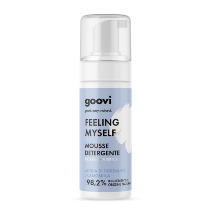 Goovi Reinigungsmousse 100ml