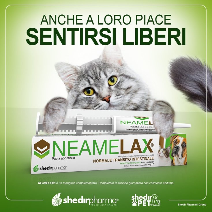 NeameLax® Nudeln ShedirPharma® 30g