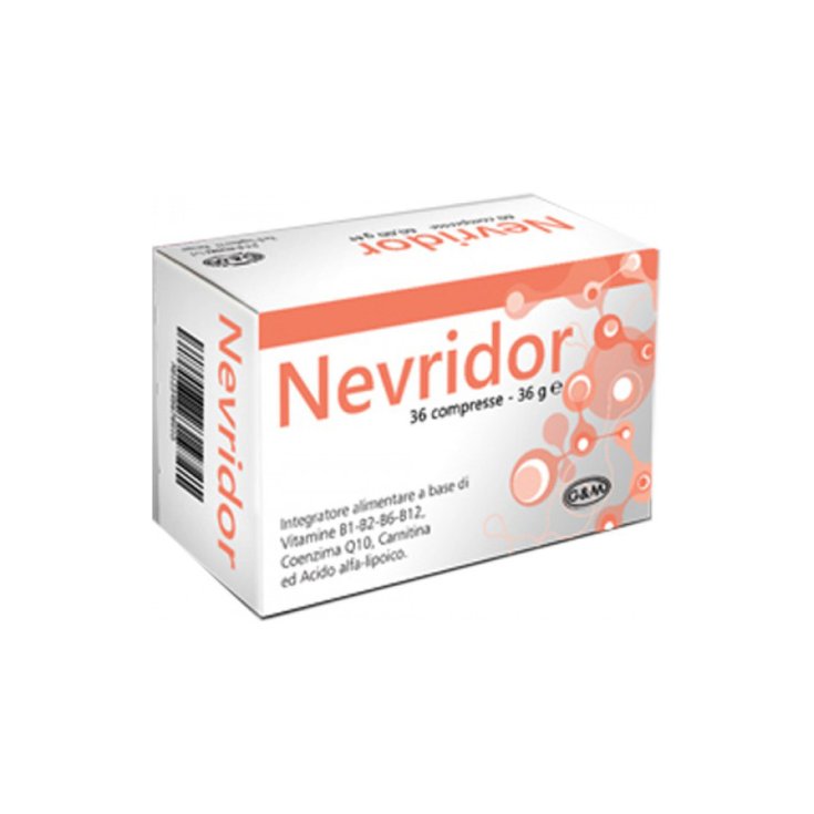 Nevridor G&M Integra 36 Tabletten