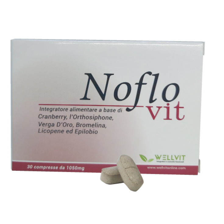 Noflovit WellVit 30 Tabletten