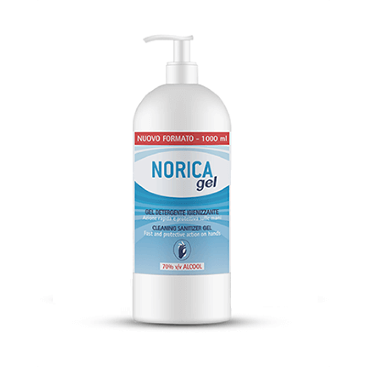 Norica Sanitizing Reinigungsgel 1000ml